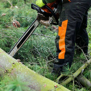 chainsaw-ground-box-ppc