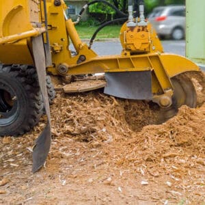 stump grinding