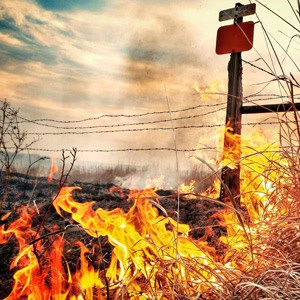 wildfire-mitigation-small-300x wildfire mitigation